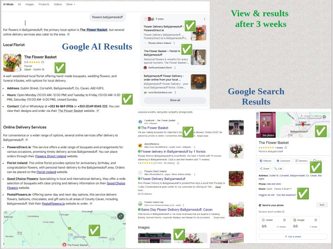 Results after 3 weeks – rankings proof